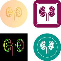 Kidney Icon Design vector