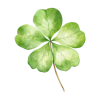 Elegant Watercolor Shamrocks png