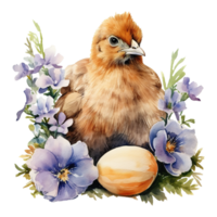 Charming Watercolor Chickens png