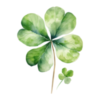 Elegant Watercolor Shamrocks png