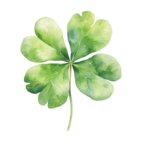 Elegant Watercolor Shamrocks png