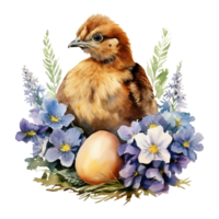 Charming Watercolor Chickens png