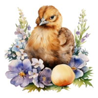 Charming Watercolor Chickens png