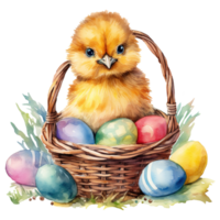 Adorable Chicks in a Springtime Easter Basket png