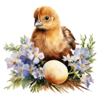 Charming Watercolor Chickens png