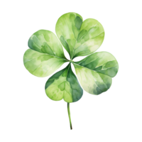 Elegant Watercolor Shamrocks png