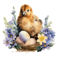 Charming Watercolor Chickens png