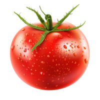 fångande de väsen av en enda tomat röd på vit. png