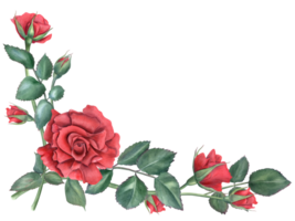 rosas. gráfico marco con Rosa ramas en moderno estilo. oscuro rojo flor. romántico profundo rubí flores acuarela ilustración con Copiar espacio para texto. para Boda invitación, cumpleaños tarjeta. png