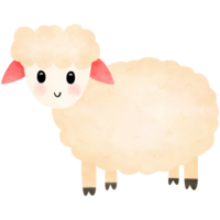 Little cute sheep png