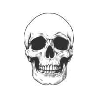 Black and white human skull. Monochrome illustration in engraving vintage style vector