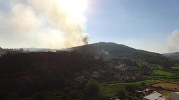 fuego en montaña bosque aéreo ver video