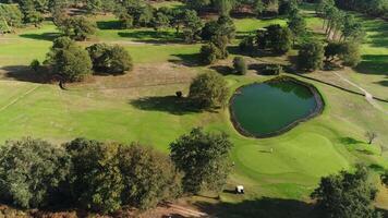 vôo sobre golfe curso video