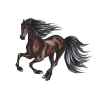 Running horse. Hand watercolor. Brown horse isolate. For printing, stickers and labels. For postcards, business cards png