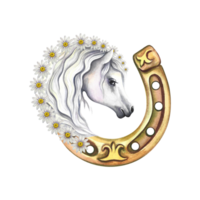Portrait of a horse on the horseshoe decorated with daisies. beautiful mare. Watercolor handmade. For printing, stickers and labels. For postcards, business cards and packaging. png