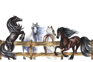 Banner with horses near a wooden fence. Hand watercolor. The horses get up and gallop. For printing and labels. For postcards, business cards and packaging. For banners, posters. png