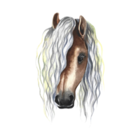 Horse portrait. Watercolor illustration. For printing, stickers and labels. For postcards, business cards and packaging. png