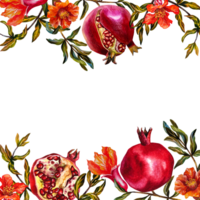 Pomegranate. Frame of pomegranate fruits on a branch, burst, cut pomegranate, pomegranate flowers. Watercolor illustration. For banners, labels, packaging, postcards, etc. png