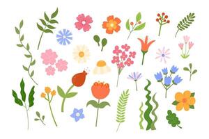 Cute flowers and leaves set. illustration. Floral botanical elements isolated on white background. Hand drawn natural meadow flower objects vector