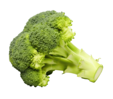 Broccoli isolated on transparent background png