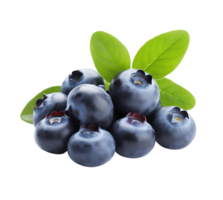 Blueberry isolated on transparent background png