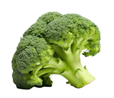 Broccoli isolated on transparent background png