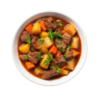 Beef stew with vegetables isolated on transparent background png