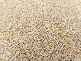 Organic White Sesame Seeds White Till Top View Background photo