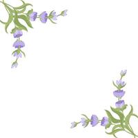 Decorative frame of lavender flowers for your design. illustration isolated on white background. vector