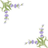 Decorative frame of lavender flowers for your design. illustration isolated on white background. vector
