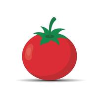 Fresh red tomato on a white background vector