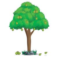 Pera árbol en dibujos animados estilo aislado en blanco antecedentes ilustración vector