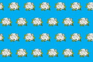 Abstract pattern of white jasmine flower with leaves on blue background. vector