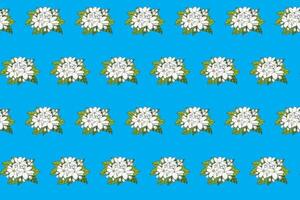 Abstract pattern of white jasmine flower with leaves on blue background. vector