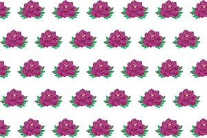 Illustration of deep pink peony flower bouquet on white background. vector