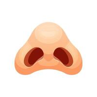 Human nostril isolated. Nose in bottom view. vector