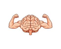 Illustration of brain shows biceps, brain power of intellect. vector