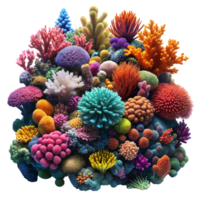 Colorful coral reef collection isolated on transparency png
