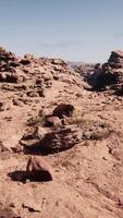 uma deserto panorama com pedras e escasso vegetação video