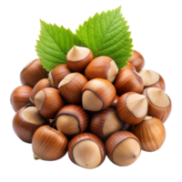 Group of fresh hazelnuts with green leaves isolated on transparent png