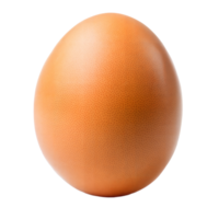 A single egg is displayed on a plain transparent surface png