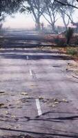 un pacífico rural la carretera envuelto por un lozano bosque paisaje video