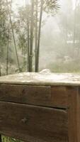 un' solitario di legno tavolo nel il mezzo di un' sereno foresta video
