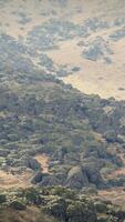 aéreo Visão do uma majestoso montanha alcance coberto com exuberante verde árvores video
