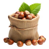 Fresh hazelnuts in a rustic burlap sack on a transparent background png