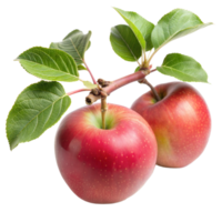 Fresh red apples with leaves on a transparent background png