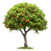 Lush green tree with ripe red apples on transparent background png