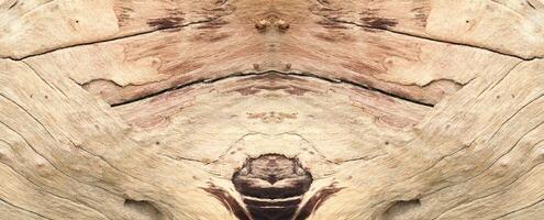 Wooden texture wallpapper with equal two-sided pattern. photo