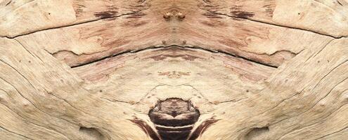 Wooden texture wallpapper with equal two-sided pattern. photo