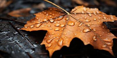 cerca arriba de caído hoja en el suelo en otoño con agua gotas foto